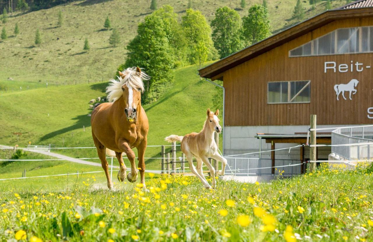 Hotel Schorhof Saalfelden Kültér fotó